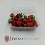 Fresas 1 lb (450 grs)