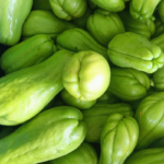 Chayote