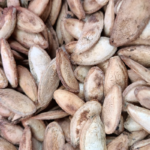 Semillas de calabaza tostada (100g)