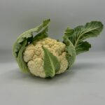 Col (venta por pieza)