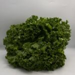 Lechuga Italiana (venta por pieza)